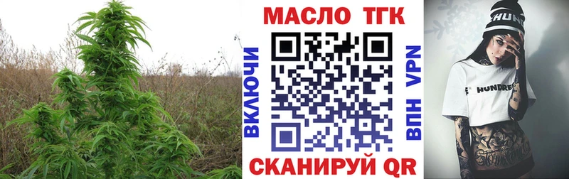 ТГК вейп  сколько стоит  мега ссылки  Полярные Зори 